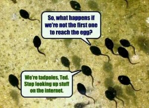 Tadpoles