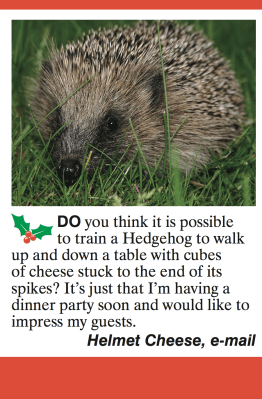 Hedgehog