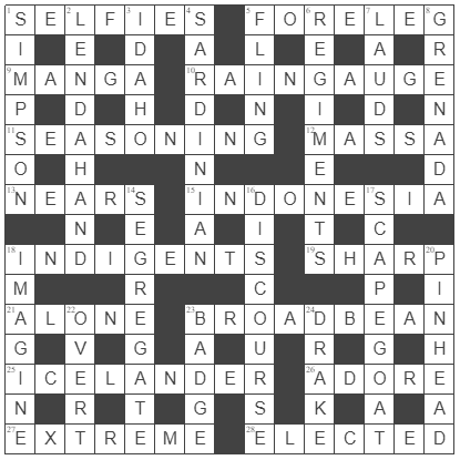 picture of the completed grid