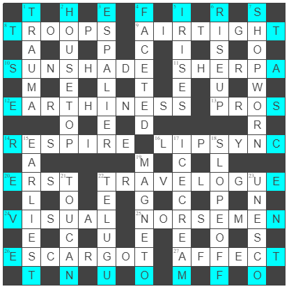 picture of the completed grid