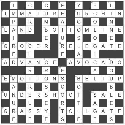 picture of the completed grid