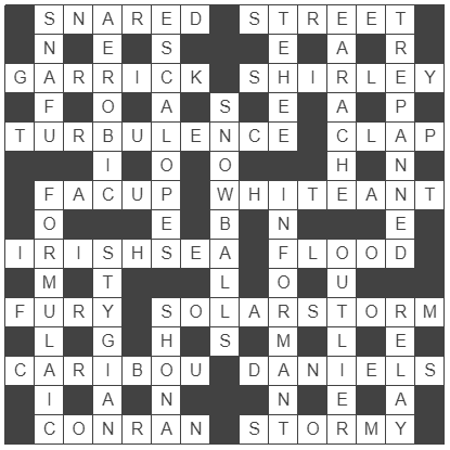 picture of the completed grid