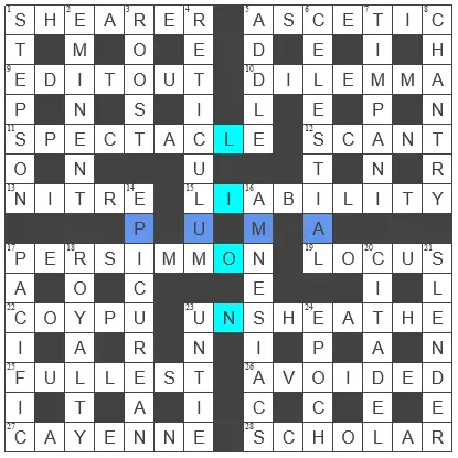 picture of the completed grid