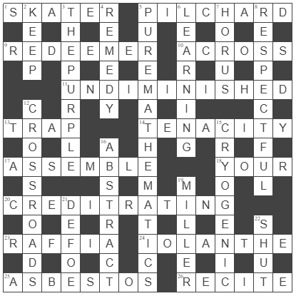  picture of the completed grid