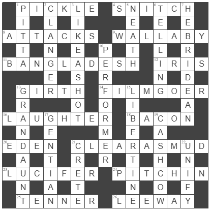  picture of the completed grid